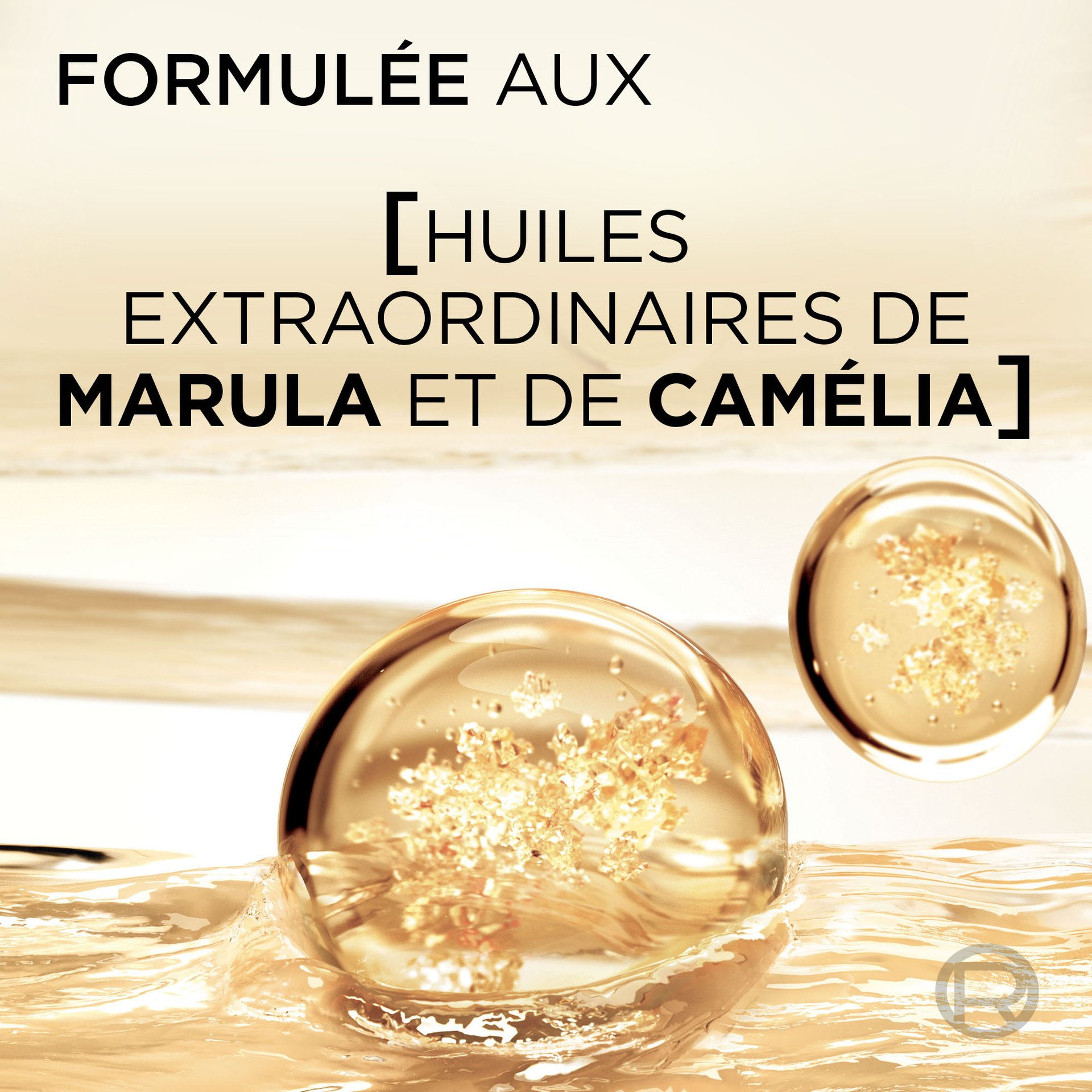 Molécule d'huiles extraordinaire de marula et de camélia